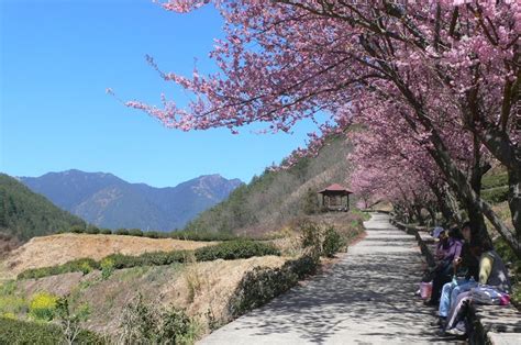 百合招貴人|今立春「3生肖躲厄運別出門」！5開運大招教你旺一整年